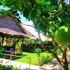 kham-pha-con-phung-hanh-trinh-miet-vuon-cung-tourdulichmietvuoncom