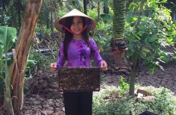 Bắt ong 